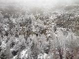 Alpen