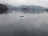 bleder see