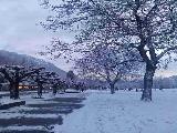 雪山下