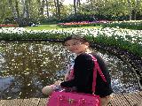 荷兰赏花之旅-南线