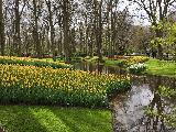 keukenhof