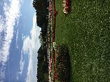 Vienna@Austria