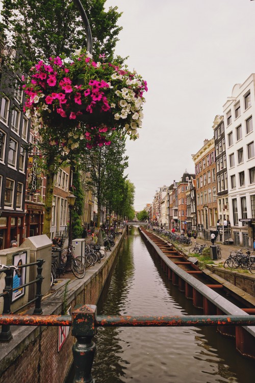 阿姆斯特丹 荷兰