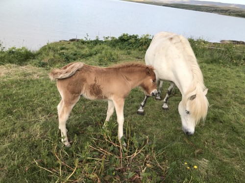 冰岛全览10日深度游