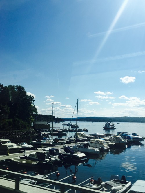 弗洛姆、松恩峡湾、哈当厄尔峡湾等