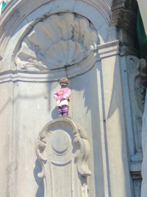 荷比卢德法: 大广场 大风车 大峡谷四日风情之旅