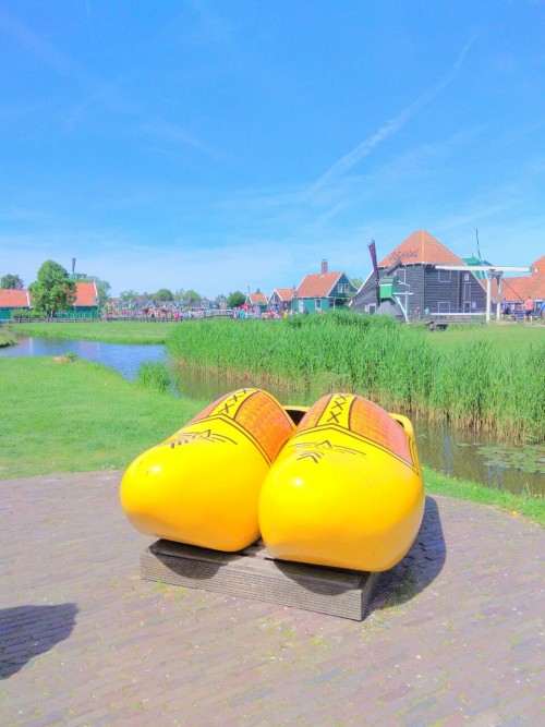 荷比卢德法: 大广场 大风车 大峡谷四日风情之旅