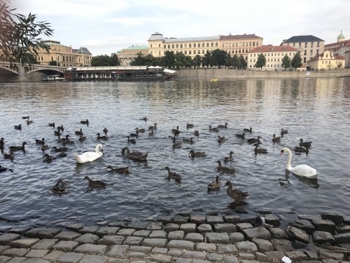 东欧波西米亚风情游