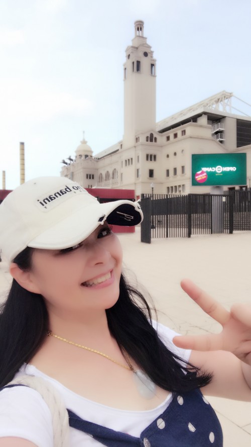 巴塞南法循环线