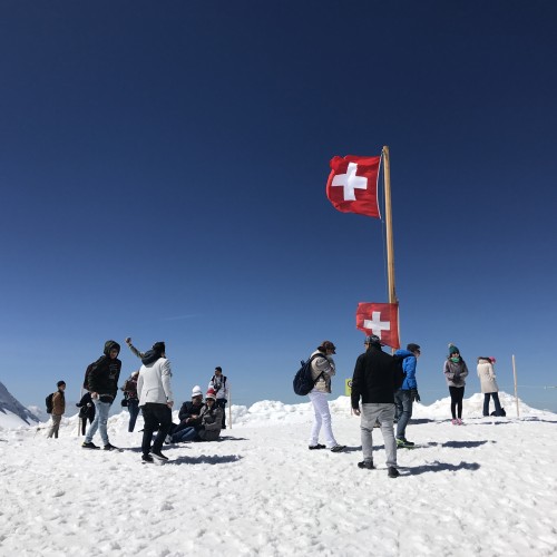 【奇峰湖泊，亲近自然】德瑞双国，金色快车之旅