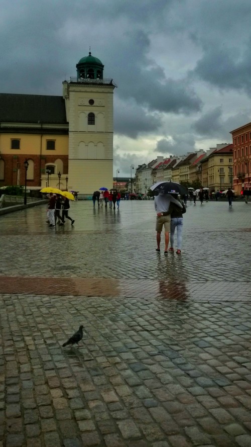 1布拉格2华沙起义纪念雕塑3CK小镇4布达佩斯5布达佩斯游船6华沙老城7斯洛伐克首都8华沙起义纪念碑9去华沙路上10维也纳