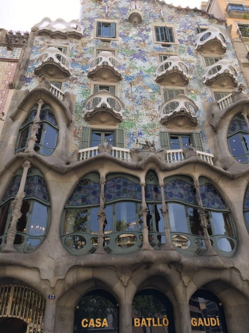 巴塞南法循环线