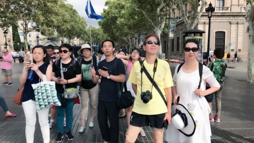 巴塞南法循环线