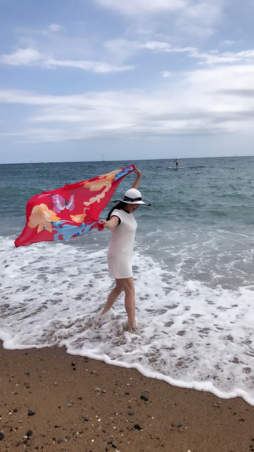 巴塞南法循环线