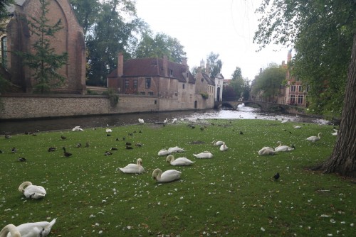 遍游西欧循环线