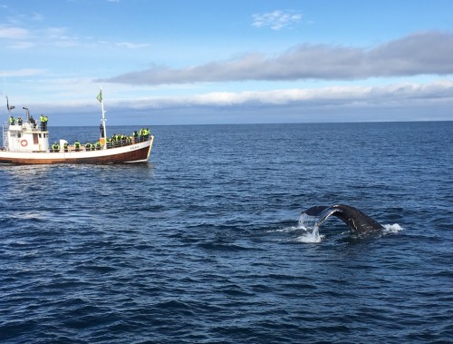 冰岛全览10日深度游