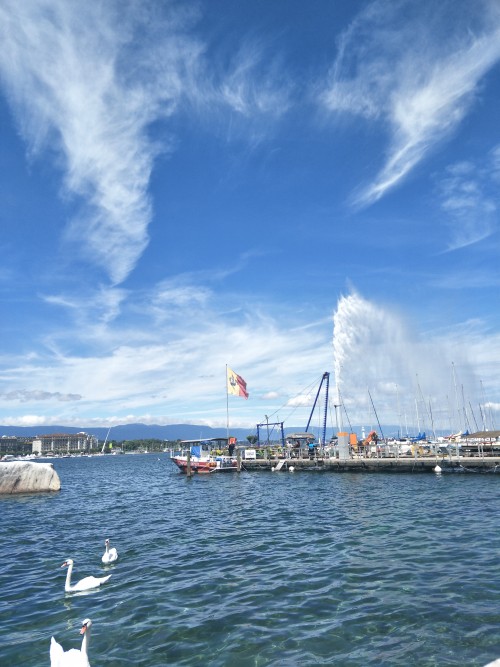 普罗旺斯蔚蓝海岸梦幻之旅