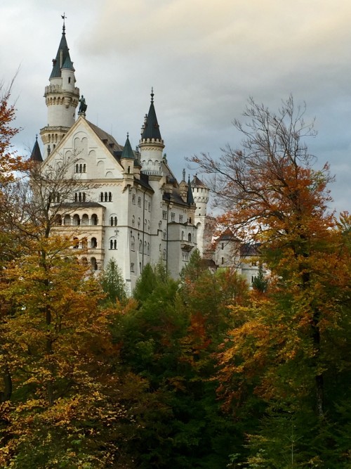 1.新天鹅城堡 2.霍亨佐伦城堡 3.国王湖的红顶教堂 4.楚格峰 5.萨尔茨堡 6.7. 两张国王湖 8.9.10 是在滴滴湖的Schwarzwald Parkhotel里面，经过紧致美丽丰盛的外国人早餐后，再穿过简陋的地窖巷子尽头看见属于我们的全部所有通通的早餐 