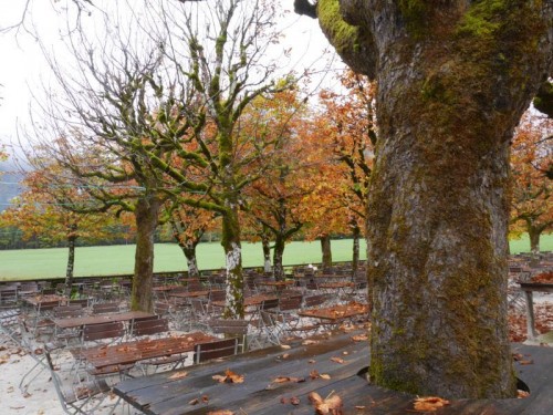 啤酒节三日体验之旅（德累斯顿线）