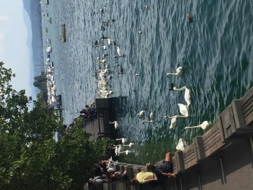 东欧瑞士循环线