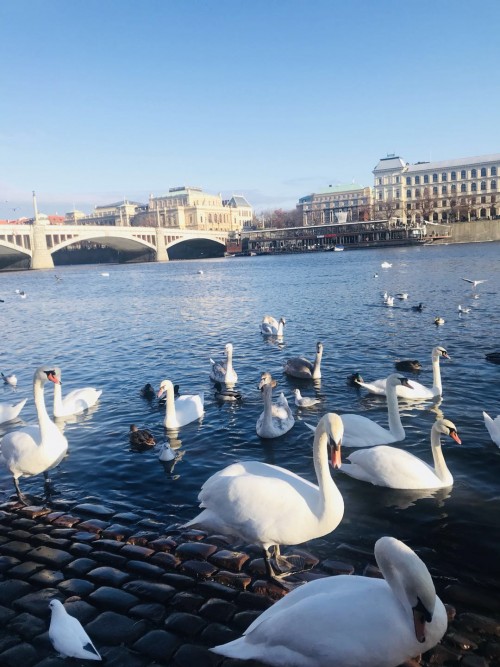 东欧五国全景七日游