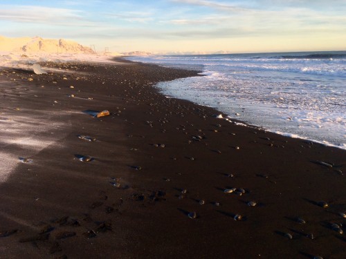冰与火之歌，冰岛六日五晚深度游