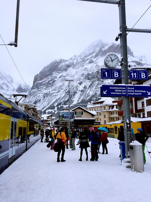 Jungfraufroch