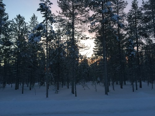 萨利萨尔卡和北冰洋