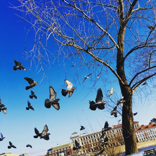 东欧五国全景七日游