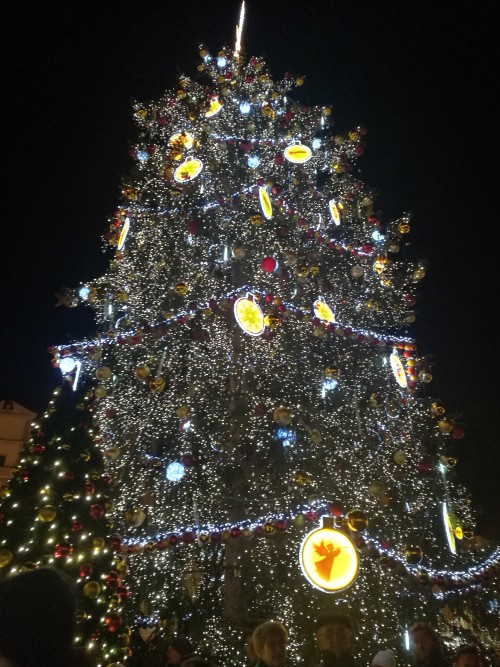 东欧波西米亚风情游