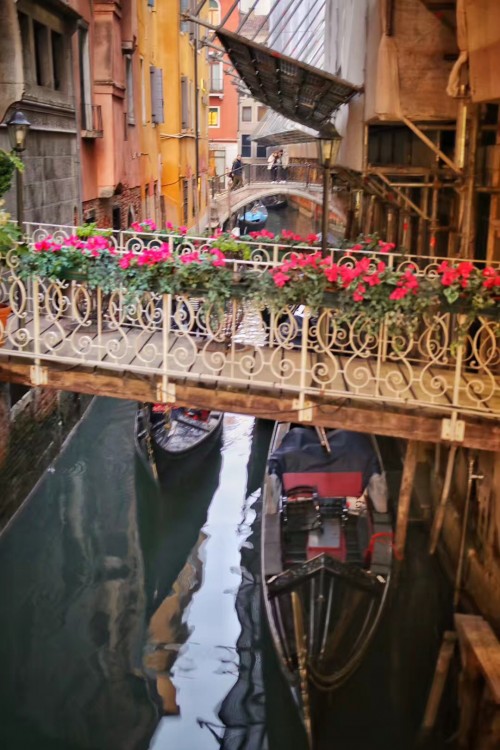 威尼斯、罗马、梵蒂冈、佛罗伦萨