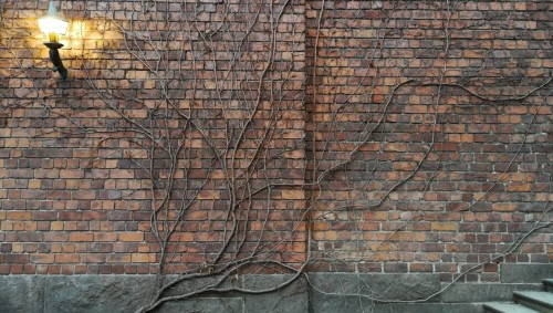 Last Minute - 盛情波罗的海