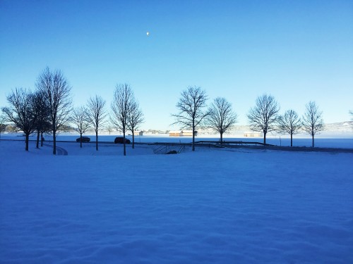 魅惑意大利七日游（柏林线）