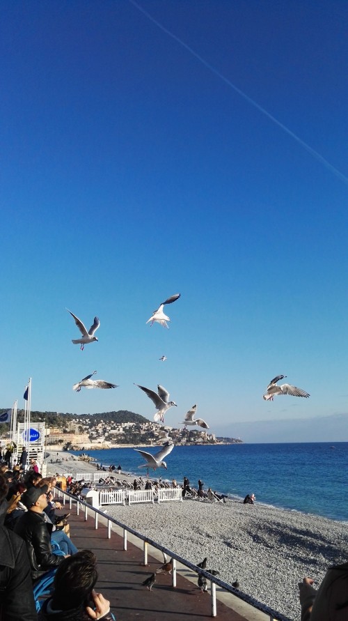 巴塞南法7天热力之旅