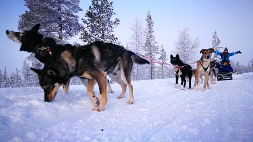 极光和追寻极光的人们