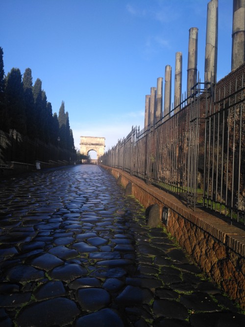 开元罗马导游培训班