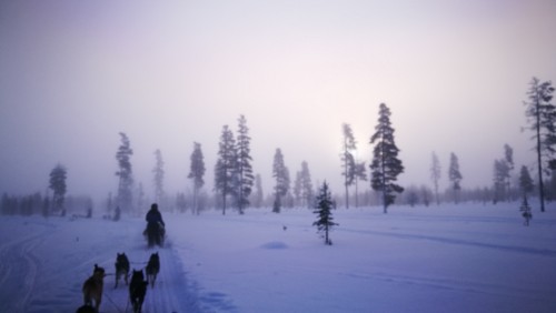 极光和追寻极光的人们