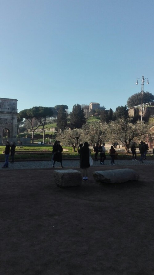 新天鹅堡，阿尔卑斯山，比萨，罗马，弗罗伦萨