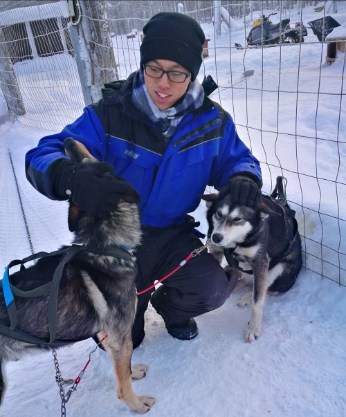 极光和追寻极光的人们