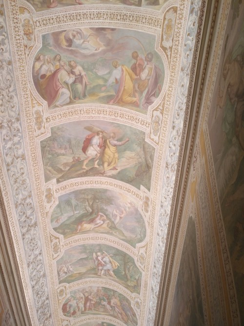 开元罗马导游培训班