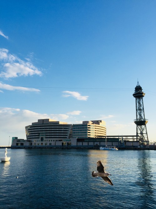 巴塞南法7天热力之旅