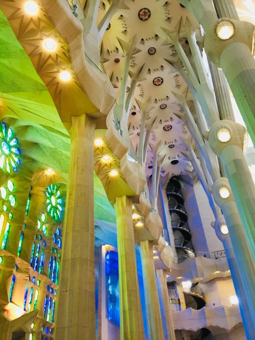 巴塞南法7天热力之旅