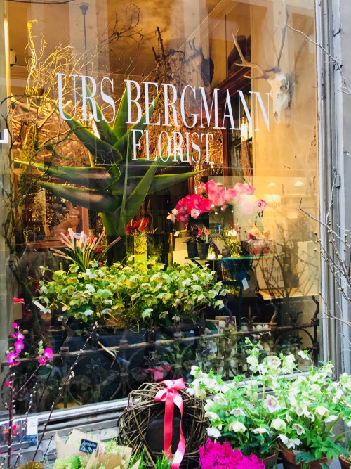 巴塞南法7天热力之旅