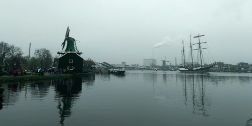 荷兰赏花之旅-南线