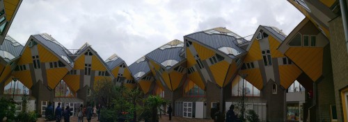 荷兰赏花-波恩、亚琛、杜伊斯堡2日线