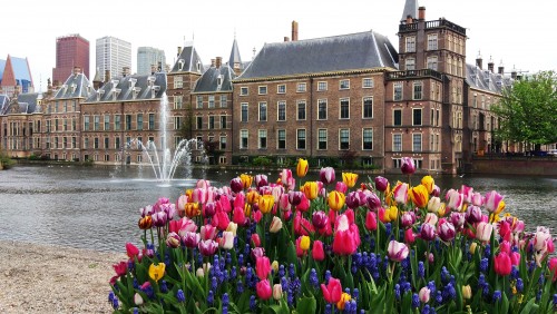 荷兰赏花-波恩、亚琛、杜伊斯堡2日线