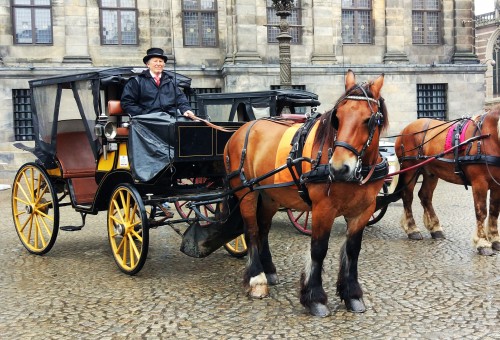 荷兰赏花-波恩、亚琛、杜伊斯堡2日线