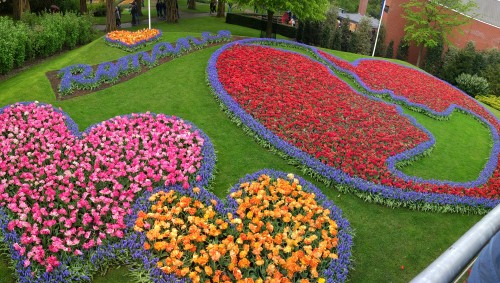 荷兰赏花-波恩、亚琛、杜伊斯堡2日线