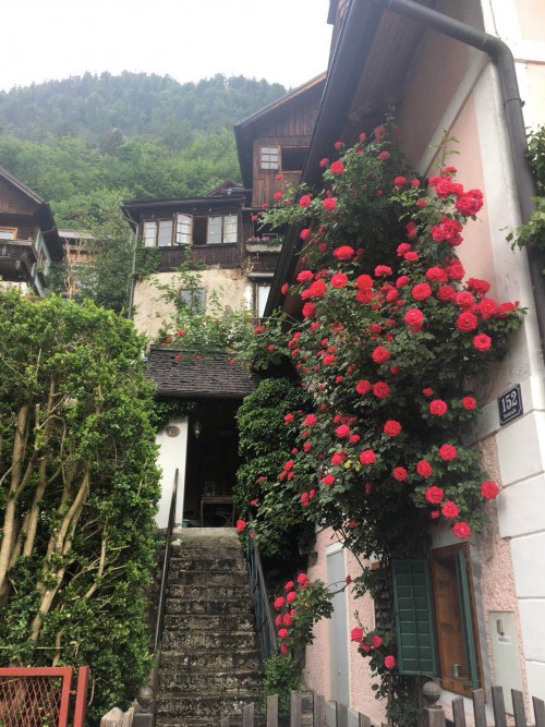 哈尔施塔特一日游