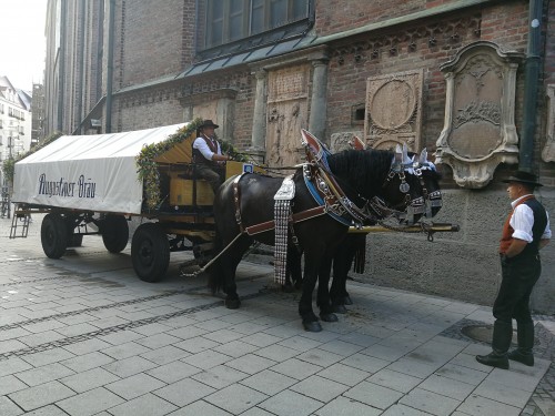 一国深度 深“德”我心